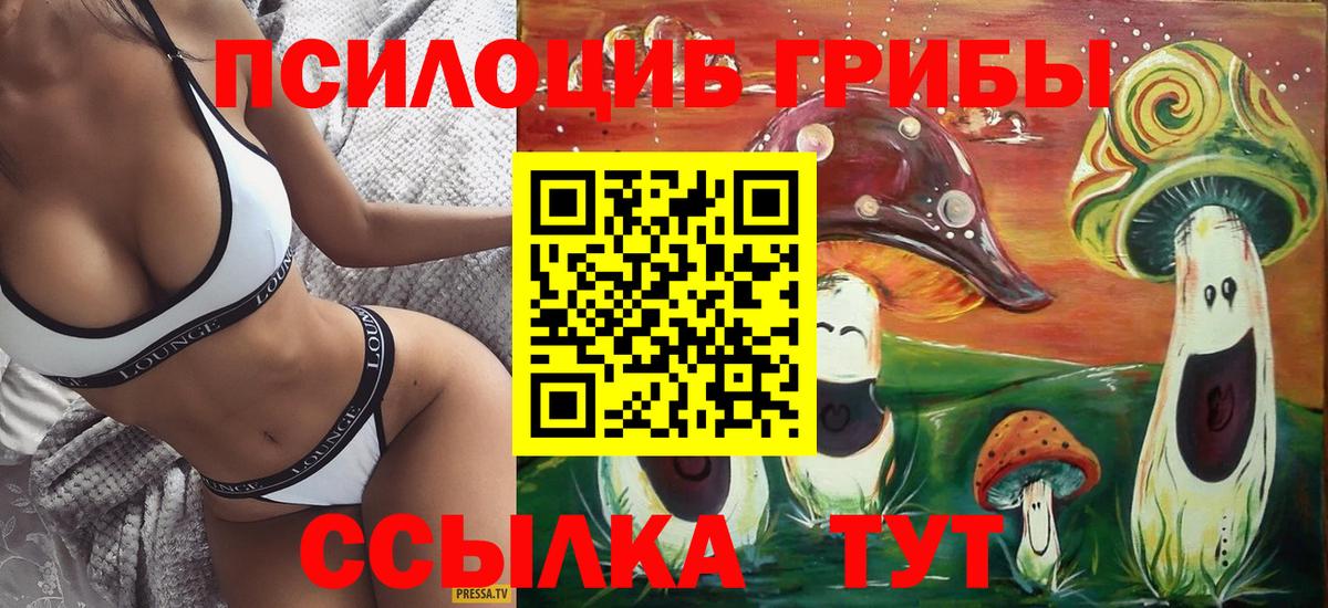 Галлюциногенные грибы Psilocybe Знаменск