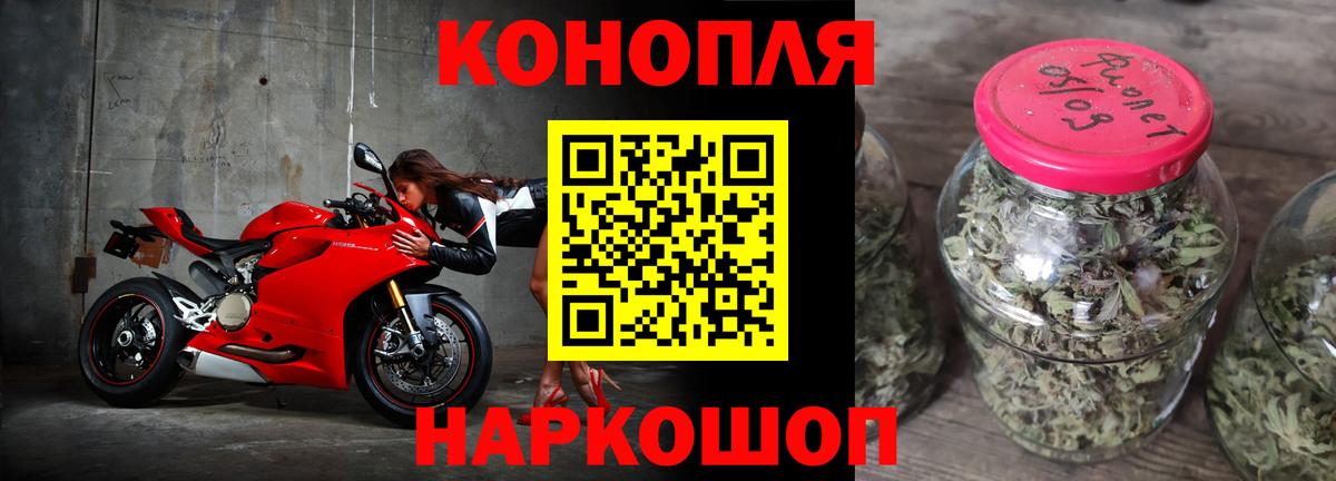 Бошки Шишки конопля Знаменск
